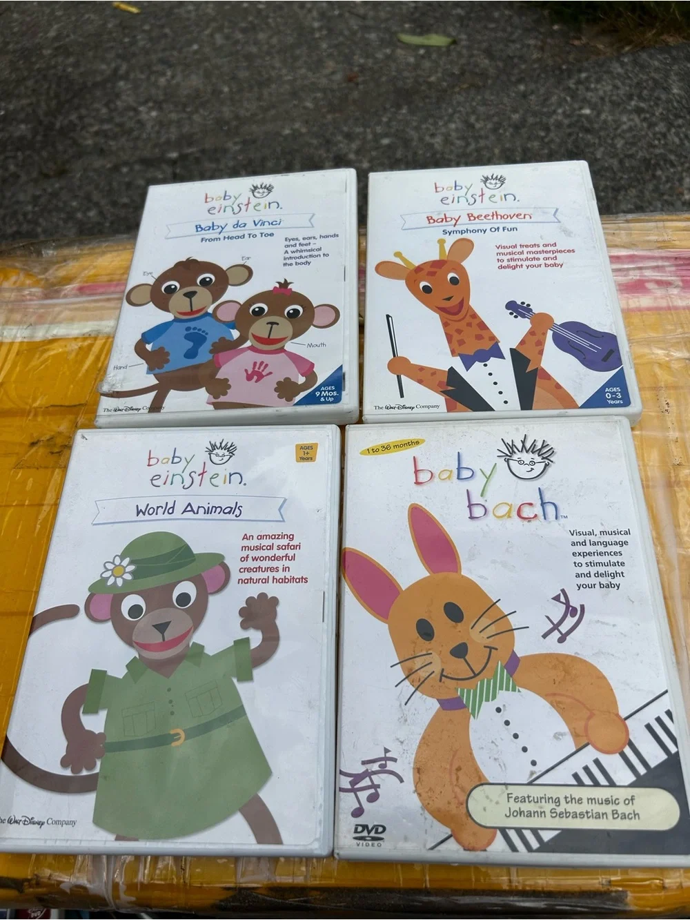 Baby Einstein World Animals DVD - White (4DVDS)